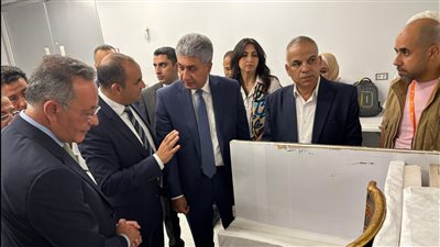 المتحف المصري الكبير يستقبل  163 قطعة من كنوز الملك الذهبي توت عنخ آمون