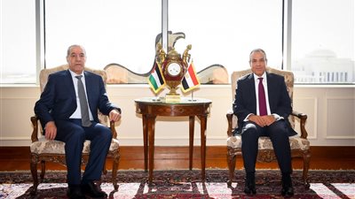 وزير‎ الخارجية يؤكد استمرار مصر في جهود الوساطة لاستئناف وقف إطلاق النار في غزة