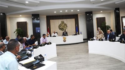 خلال 10 أيام.. محافظ أسوان: سرعة الانتهاء من تحديث وتدقيق البيانات والحصر 