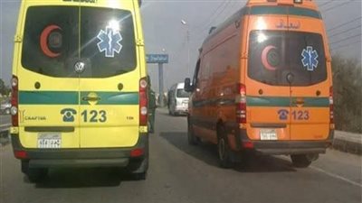 تفاصيل مقتل زوجة علي يد زوجها في المحلة بـ «شاكوش»