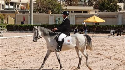 اليوم..إنطلاق نهائي بطولة الجمهورية للفروسية لقادرون باختلاف لذوي الهمم