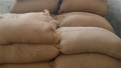 ضمن موسم الحصاد.. شون وصوامع المنيا تستقبل 182 ألف طن القمح