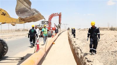 تاون جاس تنفذ أعمال صيانة بالمنطقة الحرة للاستثمار في الإسماعيلية