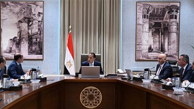 رئيس الوزراء يستعرض جهود تعزيز استدامة جهاز تنمية المشروعات المتوسطة والصغيرة 