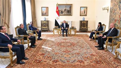 الرئيس السيسي يبحث مع رئيس البنك الإفريقي للتنمية تعزيز التعاون