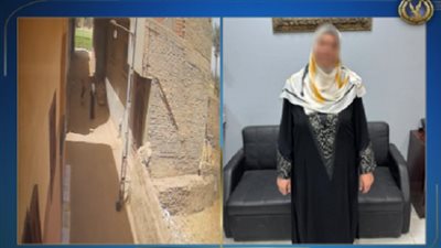 الداخلية تكشف حقيقة محاولة اختطاف طفل في السنبلاوين بالدقهلية| فيديو