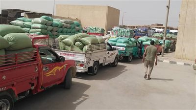 محافظ المنيا: توريد 375 ألف طن قمح بصوامع المحافظة
