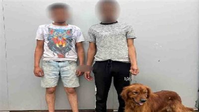 ضبط المتورطين في واقعة احتجاز شخص وتهديده باستخدام «كلب» بالسلام