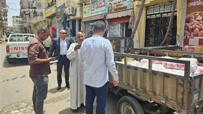 بالصور.. تحرير 80 محضرًا ومخالفة تموينية متنوعة في الأقصر