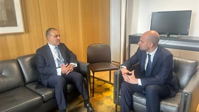 تفاصيل لقاء وزير الخارجية المصري بنظيره الفرنسي