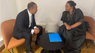 وزير الخارجية والهجرة يلتقى مع وزيرة الخارجية بجمهورية الكونجو الديمقراطية