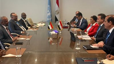 تفاصيل مناقشات وزير الصحة مع نظيره السوداني 