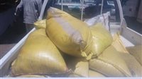 بالصور.. ضبط 650 كيلو أرز منتهي الصلاحية قبل بيعه فى الأسواق بالأقصر