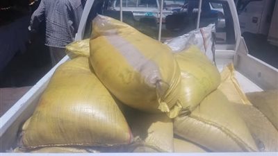 بالصور.. ضبط 650 كيلو أرز منتهي الصلاحية قبل بيعه فى الأسواق بالأقصر