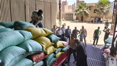 محافظ الدقهلية: توريد 250 ألف طن قمح محلي بمراكز التوريد منذ بداية الموسم 