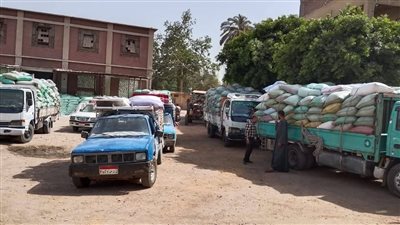 محافظ المنيا: توريد 435 ألف طن من القمح بصوامع المحافظة