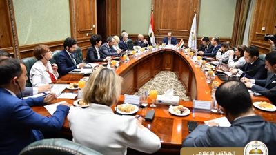 وزير الشؤون النيابية يؤكد حرص الدولة على مواصلة التشاور البنّاء مع الجانب الأوروبي في مختلف القضايا