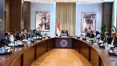 مصطفى مدبولي يستعرض تحديات قطاع صناعة الحديد والصلب وآليات وخطوات النهوض به