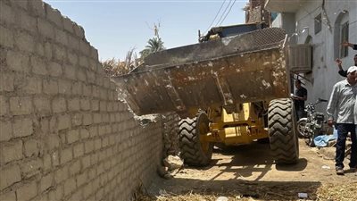 إزالة 11 حالة تعدٍ على الأراضي الزراعية شمال الأقصر (صور)