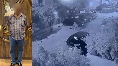 بلاغ رسمي يكشف واقعة مقتل «كلب» على يد مواطن بشوارع القاهرة