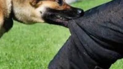 تفاصيل تعرض سيدة لعقر كلب جارتها بـ6 أكتوبر