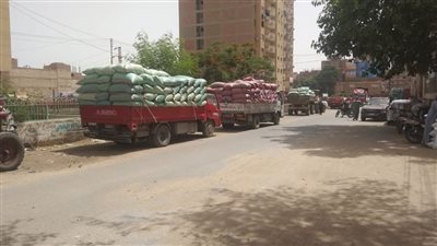 محافظ المنيا: توريد 459 ألف طن من القمح بصوامع المحافظة