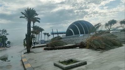 محافظة الإسكندرية تعلن عن خسائر العاصفة حتى الآن