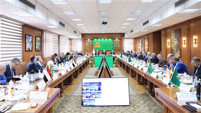رئيس جامعة المنيا يشارك فى اجتماع المجلس الأعلى للجامعات برئاسة وزير التعليم العالى