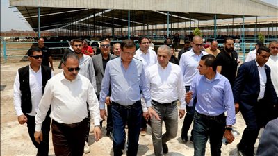 البنك الزراعي يمول شراء 2000 رأس ماشية بـ395 مليون جنيه لصالح 188 من صغار المربين