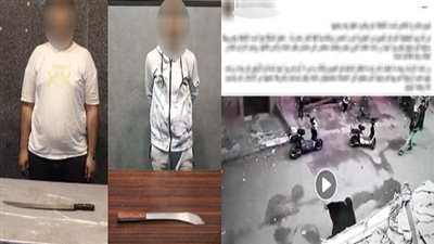 بعد انتشار فيديو الواقعة.. ضبط المتهمين بالتعدي على سيدة ونجلها بشوارع القاهرة