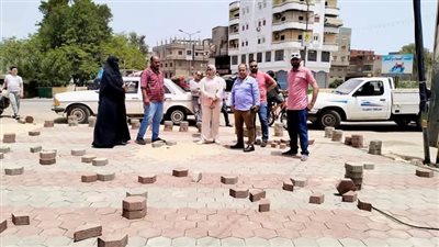 محافظ الدقهلية يتابع أعمال رصف الطرق وتركيب الإنترلوك بشوارع الجمالية