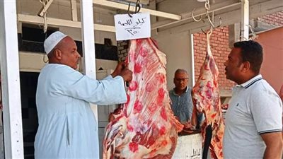 حملة عاصفة لفحص المحلات والمطاعم فى أسوان والنتيجة صادمة 