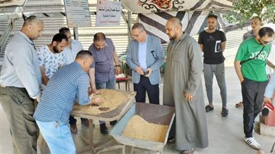 استمرار توافد محصول القمح وتوريد 271 ألف طن بمراكز التوريد والتخزين بالدقهلية