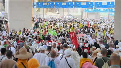التضامن: عودة أولي رحلات حج الجمعيات الأهلية من جدة اليوم