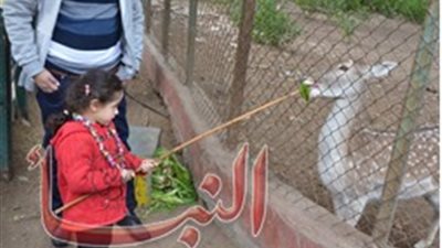 حديقة الحيوان: 