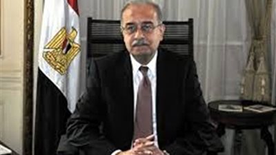 أسوان تستقبل رئيس الوزراء وسفراء أفارقة لافتتاح متحف النيل