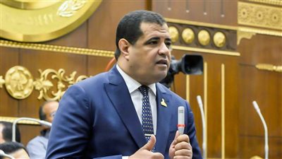 عضو بالشيوخ: بيان وزارة الخارجية يؤكد ثوابت الدولة الداعمة للقضية الفلسطينية