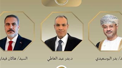 مصر وعُمان وتركيا تؤكد ضرورة الحلول الدبلوماسية للأزمة الإقليمية