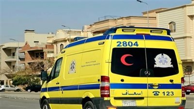 مصرع شخصين وإصابة اثنين آخرين بسبب سقوط مدخنة داخل مصنع بالصف