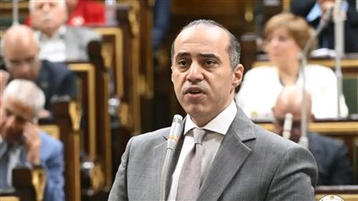 فوزي: مشروع قانون تنظيم بعض الأحكام المتعلقة بملكية الدولة يضع إطار تشريعي لإدارة الأصول العامة