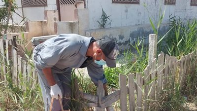 تفاصيل بدء تنفيذ حملة لمكافحة القوارض بدمياط