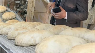  65 محضرًا في يوم واحد لضبط منظومة الخبز المدعم بالدقهلية