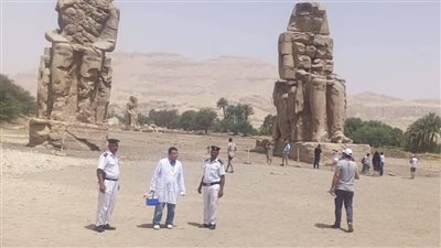 بالصور.. «بيطرى الأقصر» تحصن الكلاب الضالة بمنطقة تمثالى ممنون بالبر الغربي