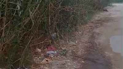 بلاغ من سكان شرق حلوان.. هبوط أرضي وتحول المكان إلى بيئة خصبة للحشرات والزواحف