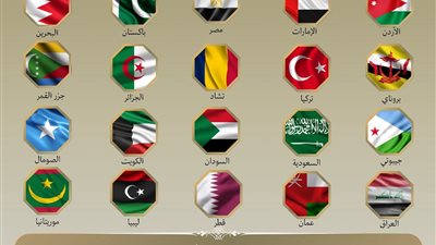 بيان عربي إسلامي مشترك يدين الهجمات الإسرائيلية على إيران