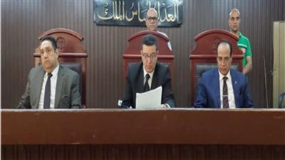 المشدد 7 سنوات للمتهمين بالتنقيب عن الآثار وغرامة 500 ألف جنيه في قليوب 