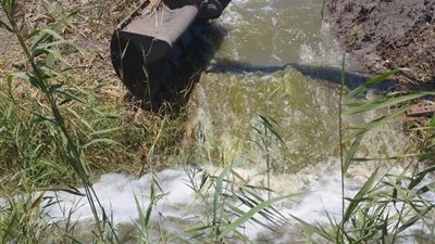 إزالة 5 مزارع سمكية مخالفة شمال الحسينية على مساحة 25 فدان ببورسعيد 