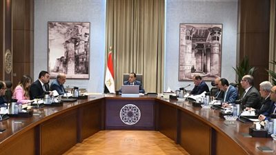 رئيس الوزراء يتابع جهود فض التشابكات المالية بين عدد من الجهات الحكومية