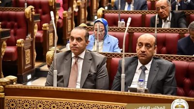 وزير الشئون النيابية يناقش آليات التعليم لغرس القيم ومكافحة التنمر