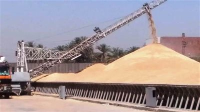 محافظ أسوان: تخطى المستهدف لتوريد القمح لموسم الحصاد الحالى بنسبة 113 %